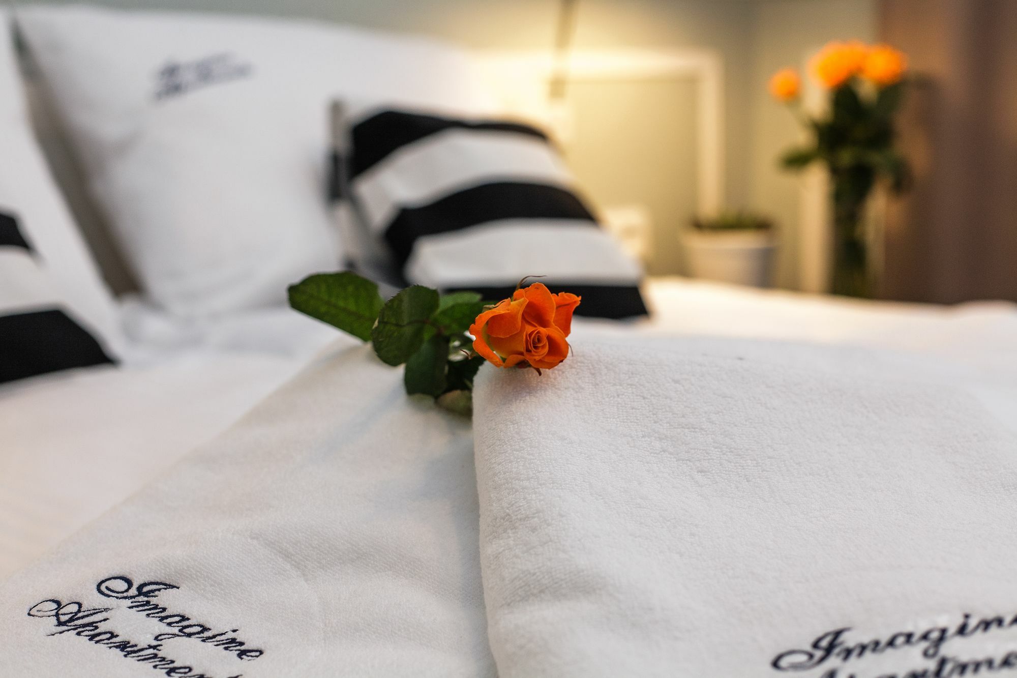 Imagine Apartments Krakow Luaran gambar